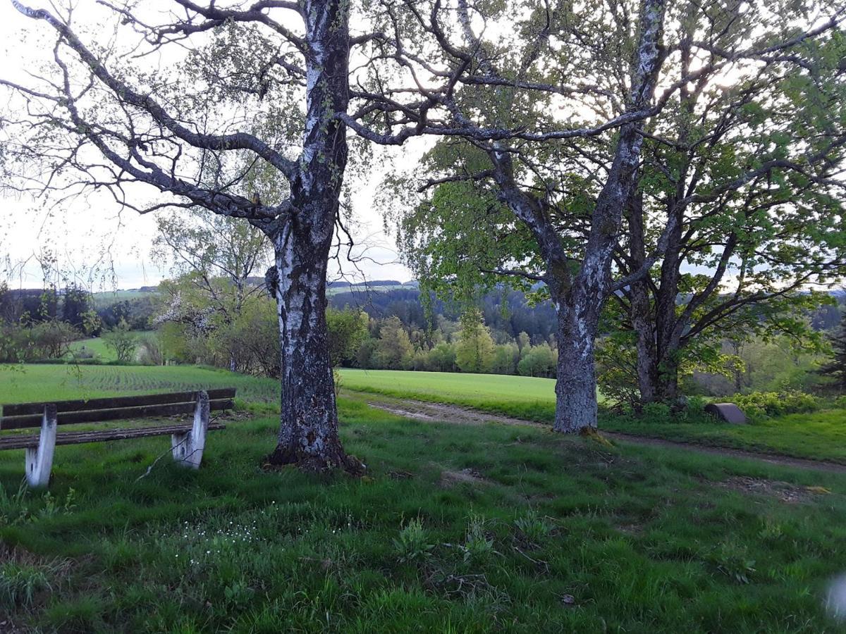Am Buchenhain Appartamento Presseck
