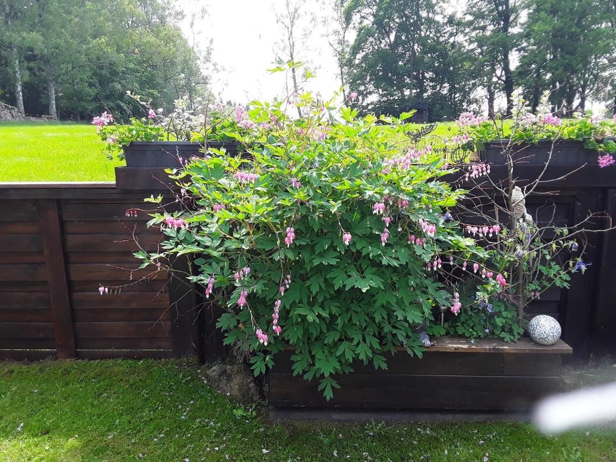 Am Buchenhain *
