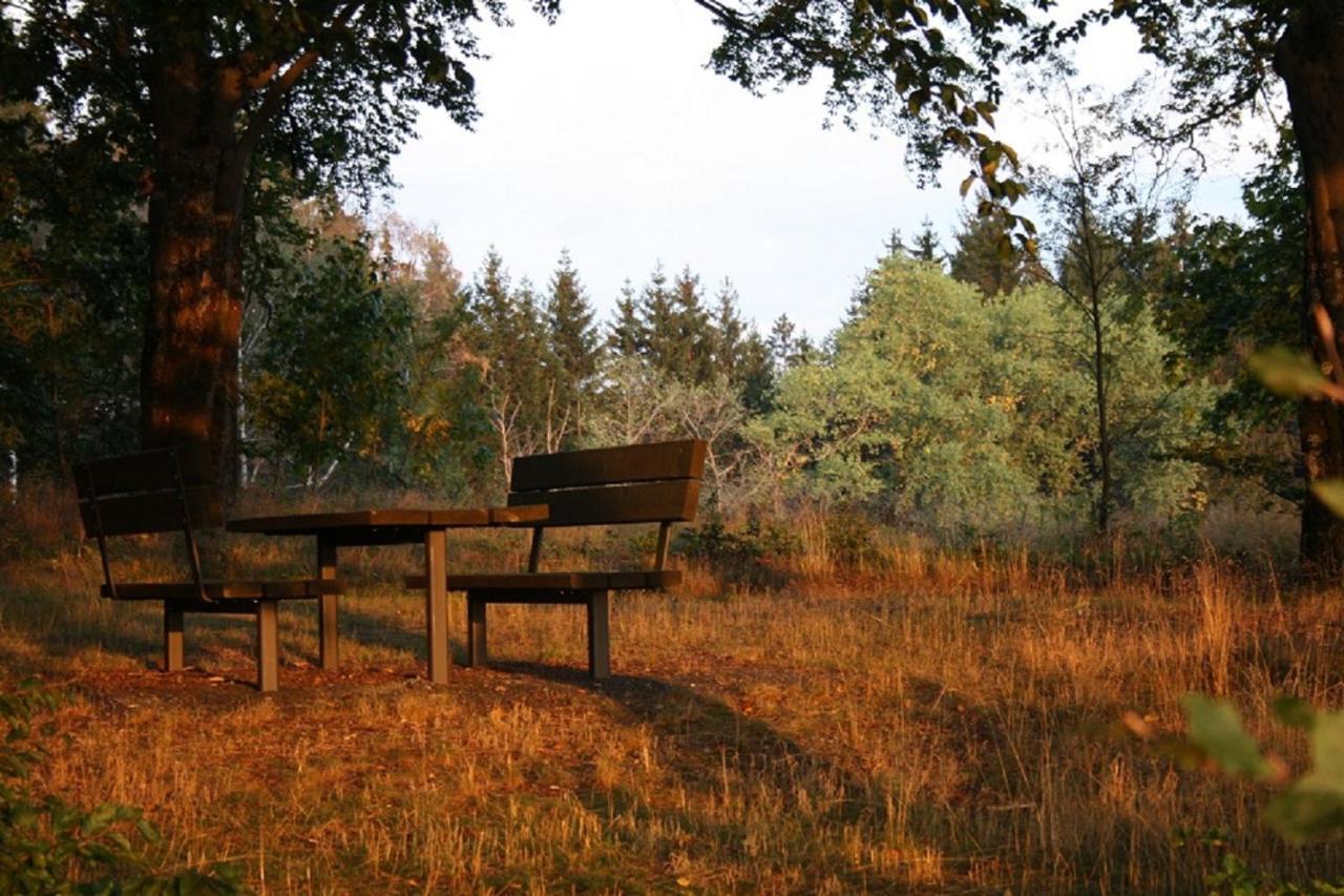 Am Buchenhain
